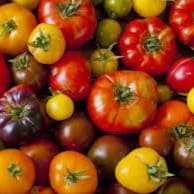 Tomates en mélange