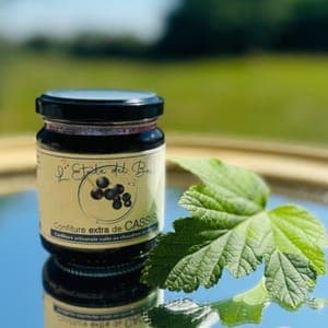 Confiture extra de cassis