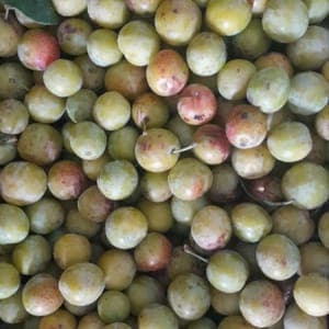 Mirabelles 