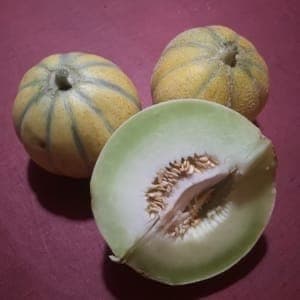 Melon