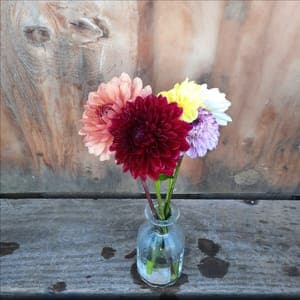 Botte de Fleurs