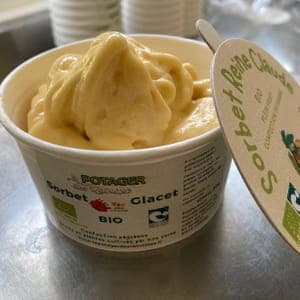 Sorbet Reine Claude