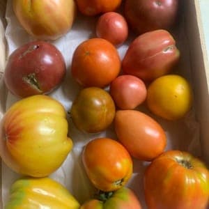 tomates en mélange