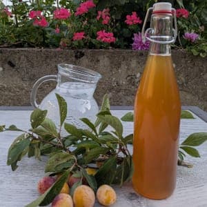 Sirop de mirabelles - 50 cl 