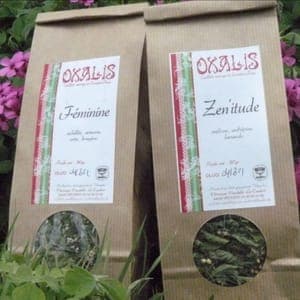 infusion saveur estival 