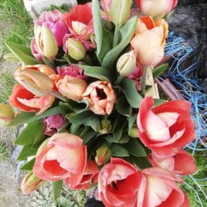 Botte de fleurs de saison AB