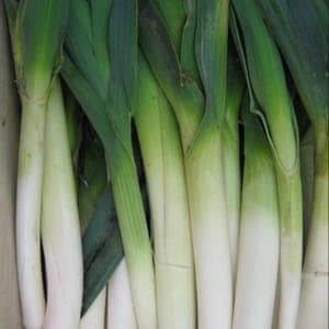 POIREAUX