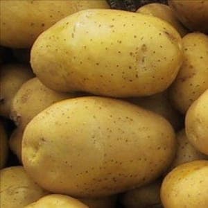 POMME DE TERRE