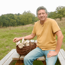 L'atelier des champignons #2