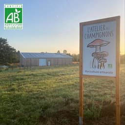 Logo de L'atelier des champignons - vente directe 