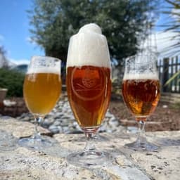 Brasserie des Pins  #5