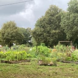 Jardin de la Marmitte Renversée  #3