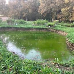 Jardin de la Marmitte Renversée  #5