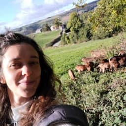 Ferme Plumes et Pis #4