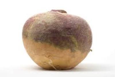 rutabaga