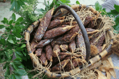 Saucisse sèche