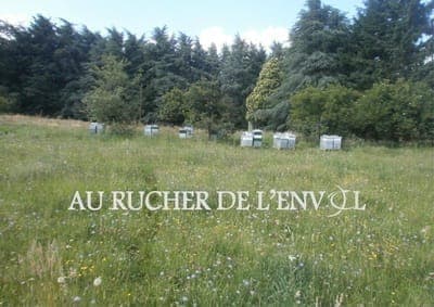 AU RUCHER DE L'ENVOL