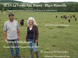 SCEA La Ferme Aux Bisons #2