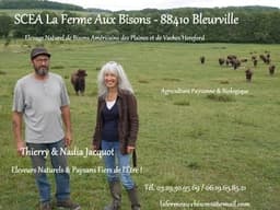 SCEA La Ferme Aux Bisons #0