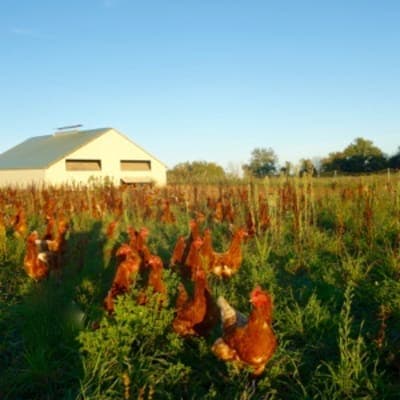 La Ferme de l'Echelette