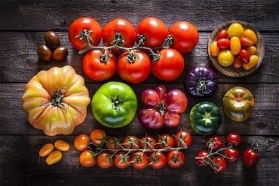 Tomates, variétés anciennes