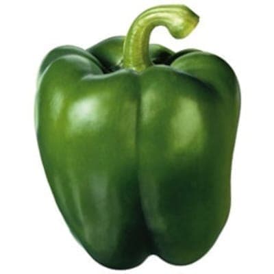 poivrons verts