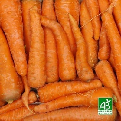 Carottes sans fâne