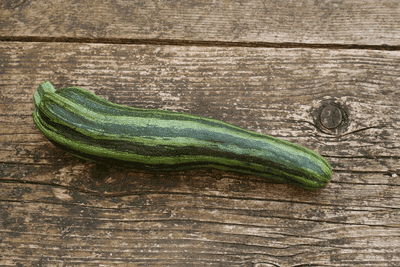 Courgette Cocozelle von Tripolis