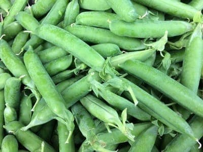petit-pois