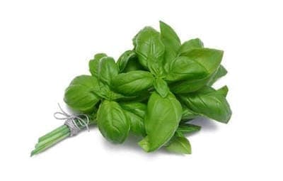 Bouquet de basilic