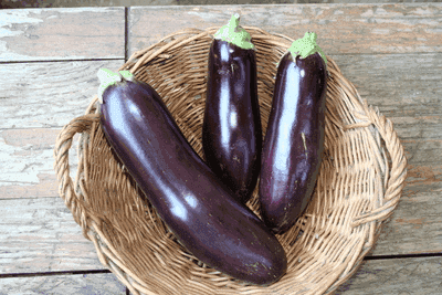 Aubergine Long Diamond