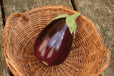 Aubergine Black Beauty