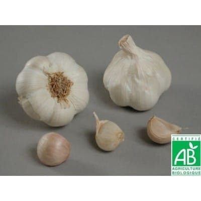 Ail 100g (2 têtes)