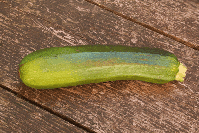 Courgette Black beauty