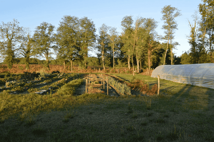Bannière de LA FERME D'YVETTE
