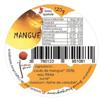 SORBET PLEIN FRUIT MANGUE LOT DE 2x140ml