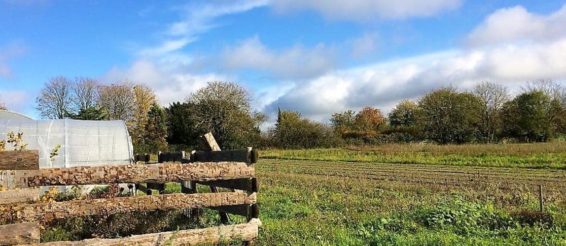 Bannière de La liberterre
