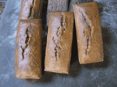 Pain de petit épeautre 500 g