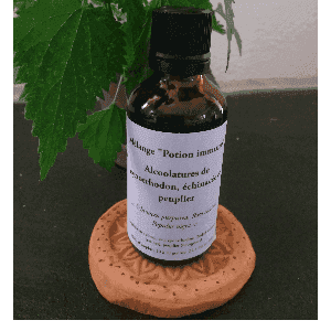 Alcoolature "Potion immuno"
