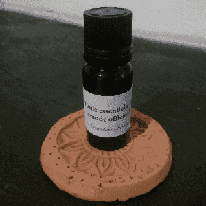 Huile essentielle Lavande officinale