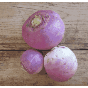 navet violet