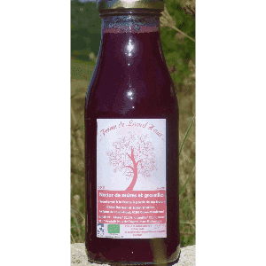 Nectar de fruits rouges