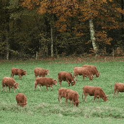 La ferme de Willy et Marion #2