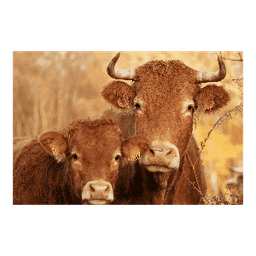 La ferme de Willy et Marion #8