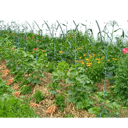 Ferme de La Coste #5