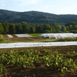 La Ferme du Chandalon #2