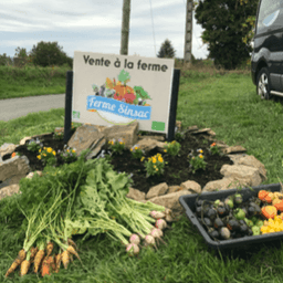 La ferme Sinsac #3
