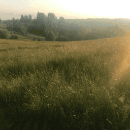 La ferme Sinsac #4
