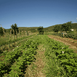 La ferme des RaThaupiers #8