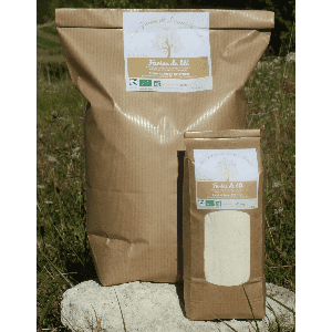 Farine de blé type T80